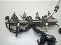 06H906036P, 06J133317J Форсунка топливная Audi A5 (8T) 2007-2016 20560145 #1