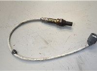  Лямбда зонд Ford Transit (Tourneo) Connect 2002-2013 20560290 #1