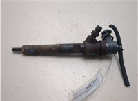 0445110287 Форсунка топливная LDV (DAF) Maxus 2004-2008 20560880 #1