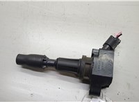  Катушка зажигания Hyundai Santa Fe 2012-2018 20561181 #1