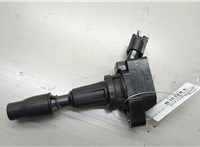  Катушка зажигания Hyundai Santa Fe 2012-2018 20561183 #1