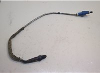  Лямбда зонд Ford Focus 2 2005-2008 20561381 #1