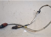  Лямбда зонд Ford Escape 2019-2022 20561493 #1