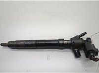  Форсунка топливная Skoda Octavia (A7) 2013-2023 20561915 #1
