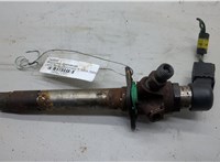 1331260 Форсунка топливная Land Rover Discovery 3 2004-2009 20562157 #1