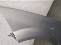  Повторитель поворотов Renault Megane 2 2002-2009 11480884 #4