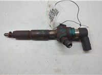1355051 Форсунка топливная Ford Galaxy 2006-2010 20562355 #6