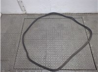 Уплотнитель Mitsubishi Outlander 2003-2009 20562478 #1