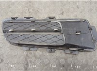  Заглушка (решетка) бампера BMW X5 E70 2006-2013 20562516 #2