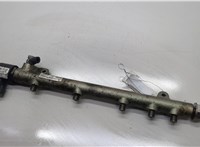  Рампа (рейка) топливная Mercedes C W204 2006-2015 20563083 #1