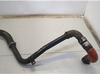  Патрубок интеркулера Ford Kuga 2008-2012 20563122 #1
