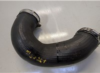  Патрубок интеркулера Volkswagen Touareg 2007-2010 20563525 #3