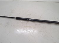 5054247AB Амортизатор крышки багажника Chrysler Pacifica 2003-2008 20563592 #1