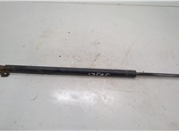 5054246AB Амортизатор крышки багажника Chrysler Pacifica 2003-2008 20563603 #1
