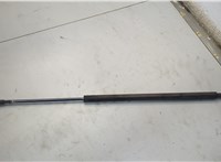 51243400379, 3400379 Амортизатор крышки багажника BMW X3 E83 2003-2010 20563781 #1