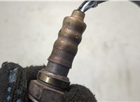  Лямбда зонд Volkswagen Polo 2005-2009 20563849 #4