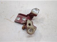  Петля двери Chrysler Town-Country 2007-2010 20563896 #1