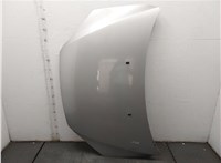  Капот Ford Focus 2 2005-2008 20564023 #1