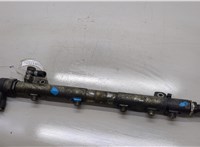  Рампа (рейка) топливная Mercedes Vito W639 2003-2014 20564038 #1