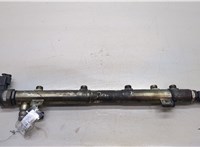  Рампа (рейка) топливная Mercedes Vito W639 2003-2014 20564038 #4