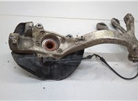  Ступица (кулак, цапфа) Audi A4 (B6) 2000-2006 20563296 #1