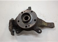  Ступица (кулак, цапфа) Renault Laguna 2 2001-2007 20563636 #1