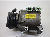  Компрессор кондиционера Ford Fiesta 2001-2007 20564975 #1