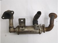  Теплообменник Ford Transit (Tourneo) Connect 2002-2013 20565323 #2
