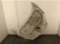  Капот Skoda Fabia 2007-2014 20565583 #2