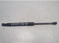  Амортизатор капота BMW 5 E60 2003-2010 20565744 #1