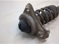  Амортизатор подвески Audi A6 (C6) 2004-2011 20566064 #2