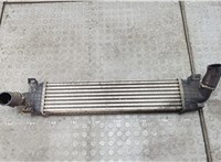  Радиатор интеркулера Ford C-Max 2002-2010 20566067 #1