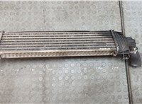  Радиатор интеркулера Ford C-Max 2002-2010 20566067 #2