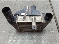 Радиатор интеркулера Smart Forfour W454 2004-2006 20566103 #1