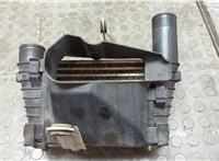  Радиатор интеркулера Smart Forfour W454 2004-2006 20566103 #4