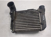  Радиатор интеркулера Audi A4 (B6) 2000-2006 20566151 #1