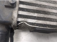  Радиатор интеркулера Audi A4 (B6) 2000-2006 20566151 #4