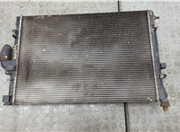  Радиатор охлаждения двигателя Dacia Logan 2004-2012 20566167 #1