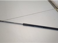F30655N Амортизатор крышки багажника Ford Focus 1 1998-2004 20566228 #1