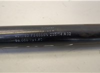 F30655N Амортизатор крышки багажника Ford Focus 1 1998-2004 20566228 #2