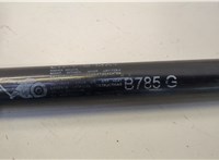 F30655N Амортизатор крышки багажника Ford Focus 1 1998-2004 20566228 #3