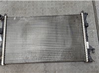 8200008764 Радиатор охлаждения двигателя Renault Laguna 2 2001-2007 20566282 #1