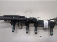  Форсунка топливная Audi A4 (B6) 2000-2006 20566315 #4
