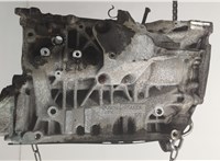 11112359837, 11112285302 Блок цилиндров (Шорт блок) BMW X1 (E84) 2009-2015 20567573 #6