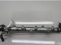  Рампа (рейка) топливная BMW 3 E46 1998-2006 20568013 #1