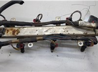  Форсунка топливная Chrysler Town-Country 2007-2010 20568044 #3