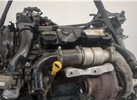  Двигатель (ДВС) Ford Focus 3 2011-2015 20568111 #5