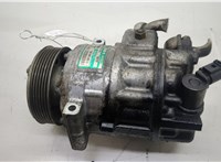  Компрессор кондиционера Skoda Octavia (A5) 2004-2013 20568357 #1