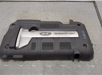 Накладка декоративная на ДВС Hyundai Tucson 1 2004-2010 20568368 #1