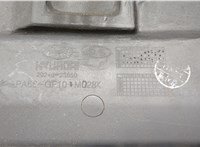 Накладка декоративная на ДВС Hyundai Tucson 1 2004-2010 20568368 #4